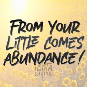 From Your Little Come Abundance!