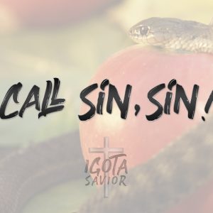 Call Sin, Sin!