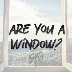 Are You A Window?