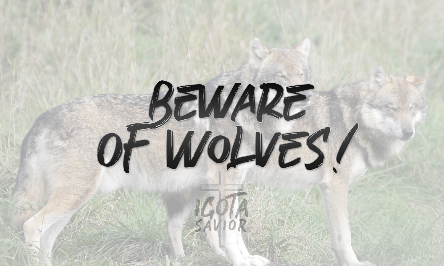 Beware Of Wolves!