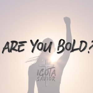 Are You Bold?